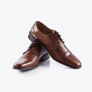 Brown Leather Shoes
